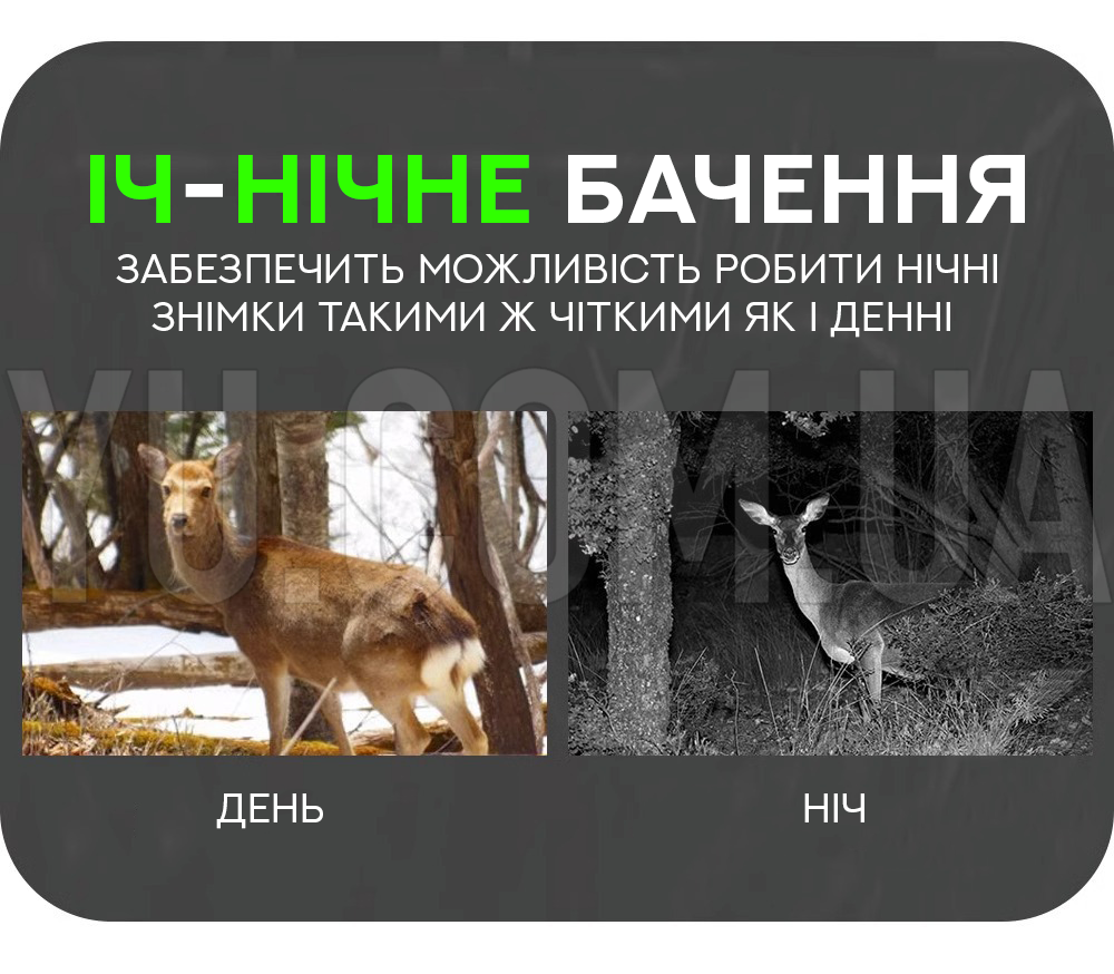 Фото ловушка для охоты DL 001 с датчиком движения и ночным видением